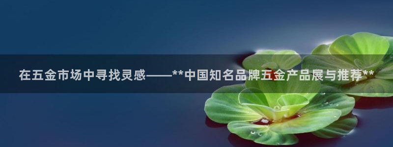 天狮娱乐代理注册
