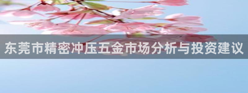 天狮娱乐玩法