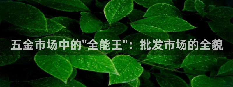 天狮娱乐 b主管61166