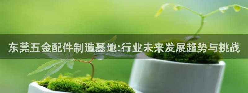 天狮娱乐运营57757