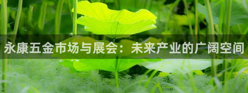 天狮娱乐下载网址