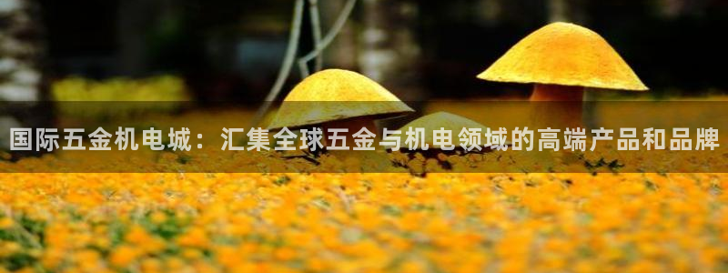 天狮娱乐b 判官是什么