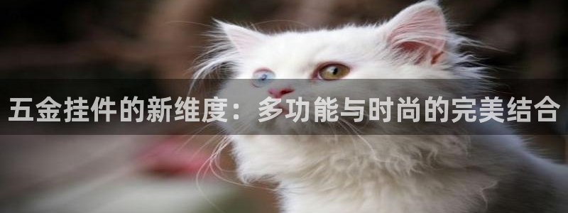 天狮娱乐怎么下载