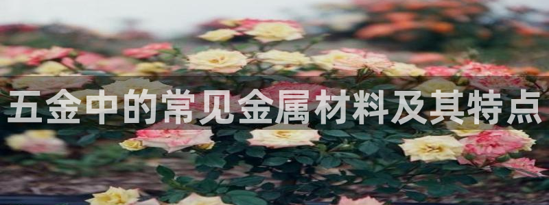 天狮娱乐平台找谁