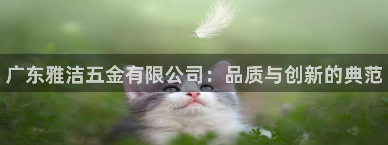 天狮娱乐卧j主管60447