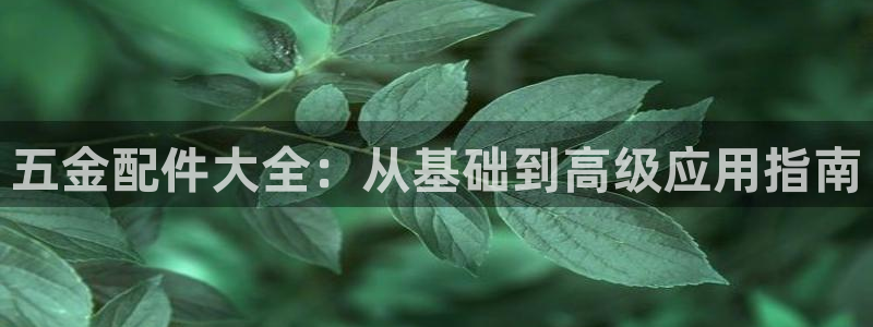 天狮娱乐手机app