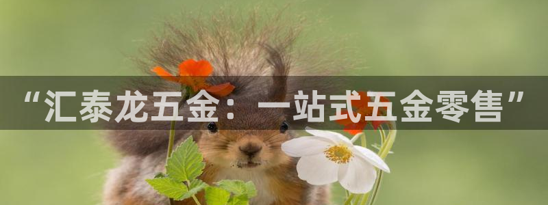 狮山天街娱乐圈