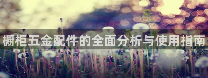 天狮娱乐v1.0.3app下载