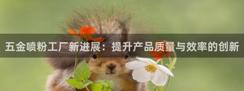 做天狮娱乐代理犯法吗