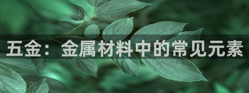 天狮娱乐彩票官网