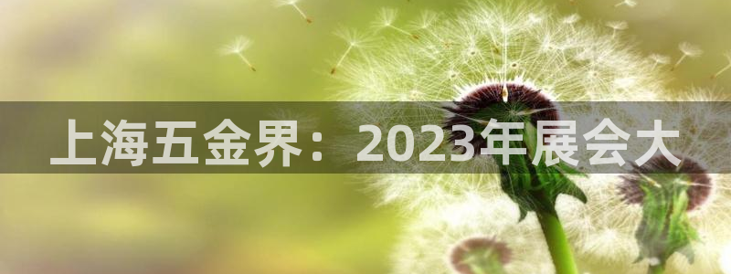 天狮娱乐a 判官