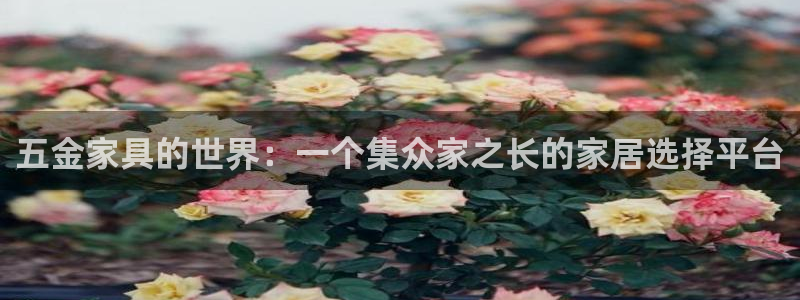 天狮娱乐 a主管60447