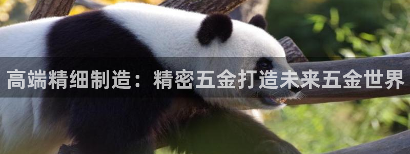 天狮娱乐招代理