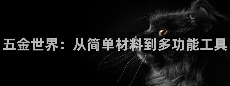 天狮娱乐电脑版