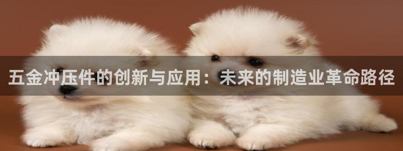 天狮娱乐 接待 0