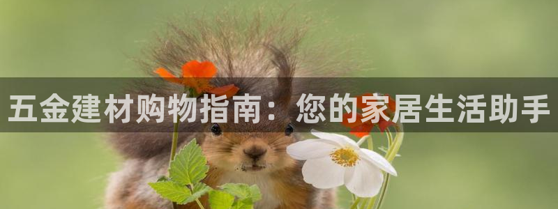 天狮娱乐主管q42862s