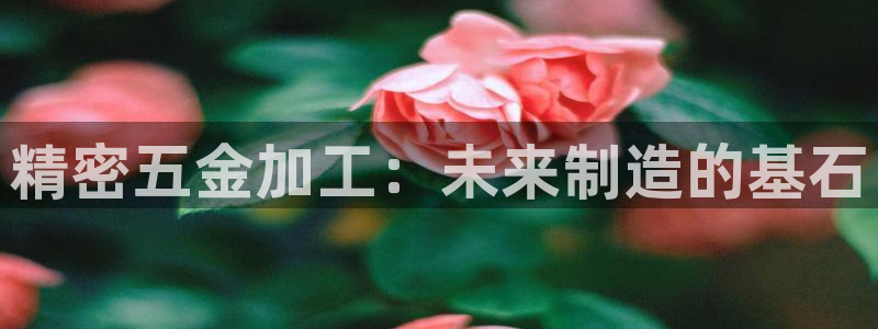 天狮娱乐主管82104