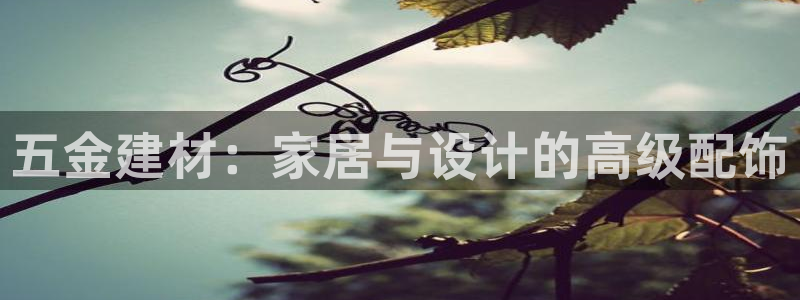 天狮娱乐i股t东64681