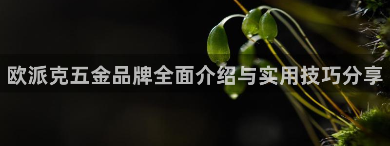 天狮娱乐p实 权