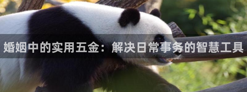 天狮娱乐扣扣29229