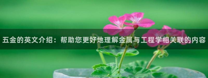 天狮娱乐分分彩