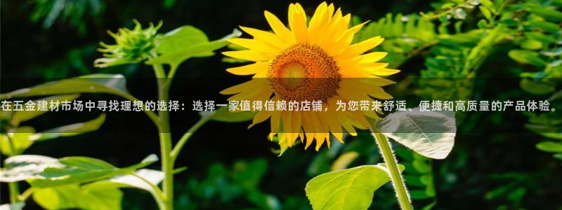 天狮娱乐代理找谁