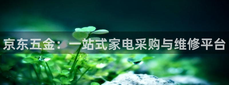 天狮娱乐彩票app