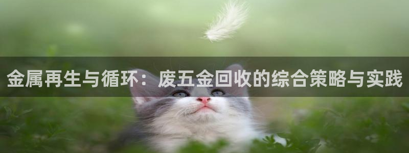 天狮娱乐代理找谁