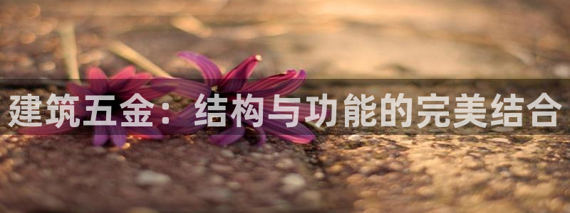 天狮娱乐指尖自