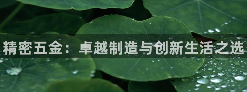 天狮娱乐 23976实z力