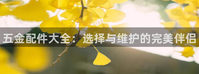 天狮娱乐主管82104