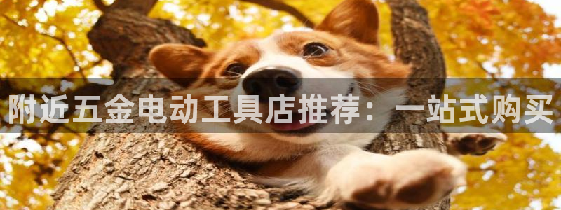 天狮娱乐指尖下载手机版