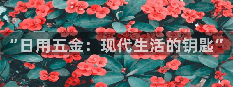 天狮娱乐平台多久