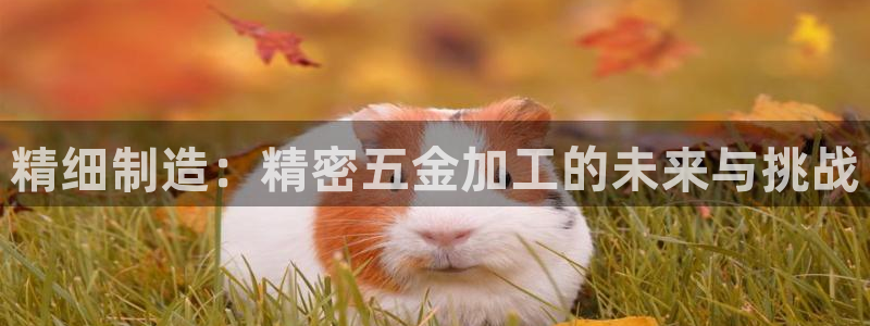 天狮天狮娱乐娱乐q