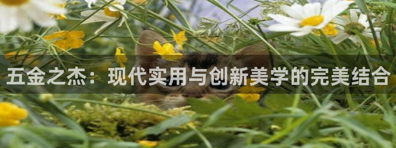 天狮娱乐c 判官