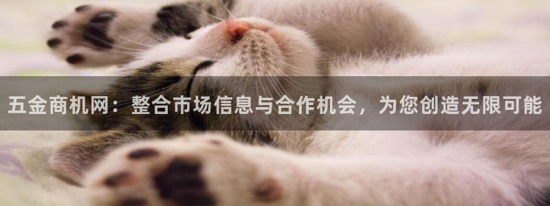 天狮娱乐怎样下载