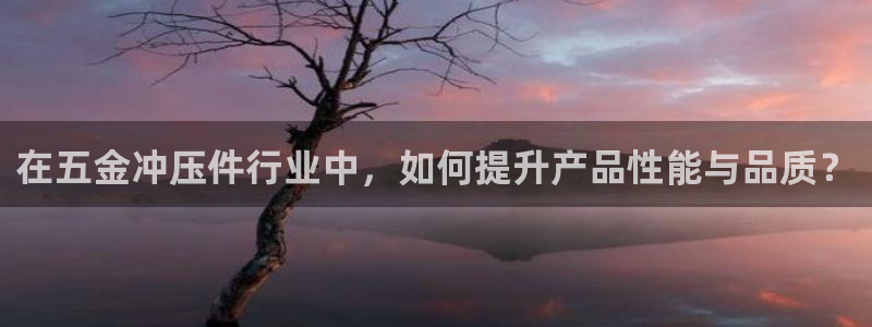 天狮娱乐b 判官