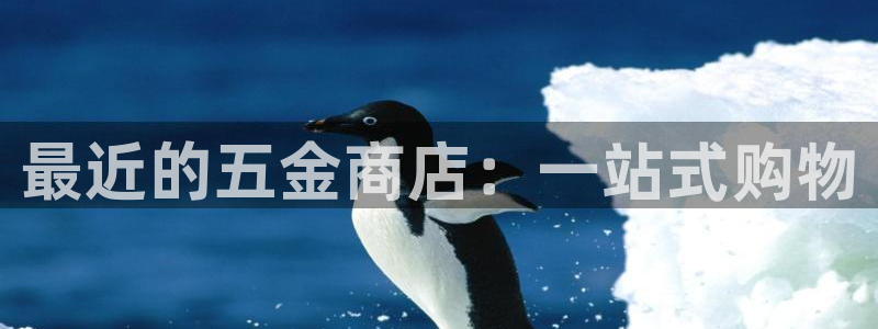 天狮娱乐股东主管