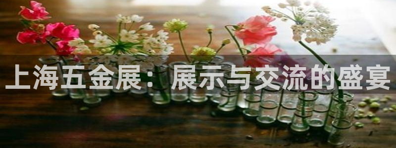 天狮娱乐q 去108-306
