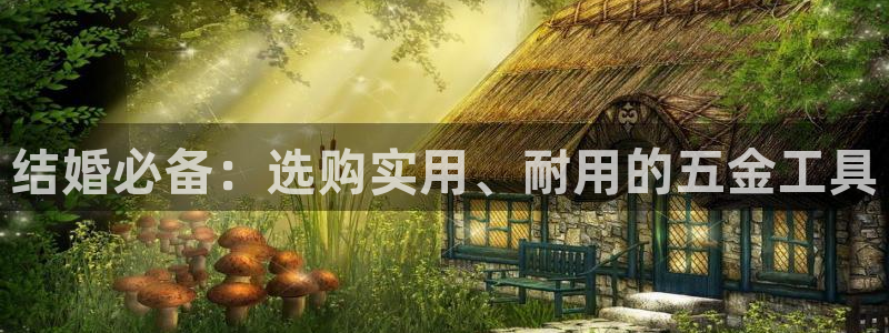 天狮娱乐运营29229