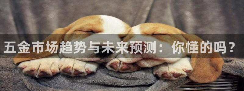 天狮娱乐运营29229