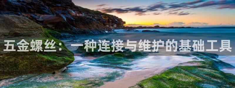 天狮娱乐 b运营67646