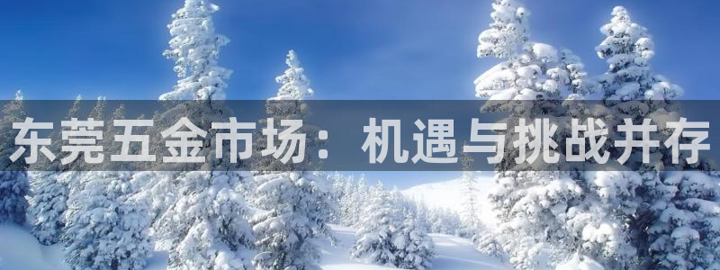 天狮娱乐q39096s