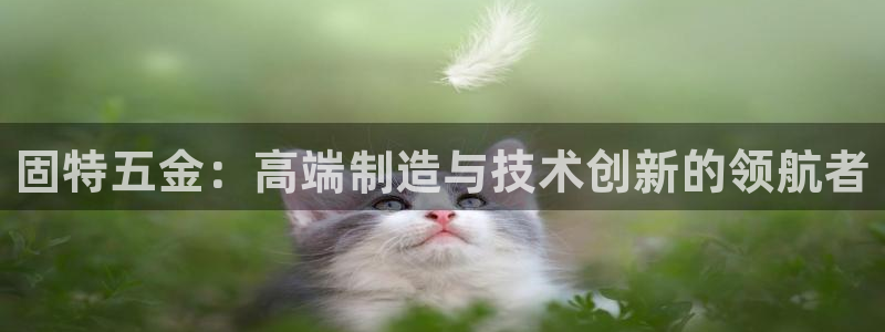 天狮娱乐妞妞