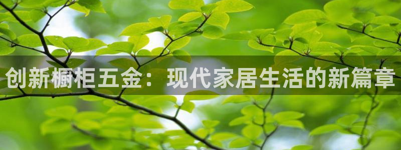 天狮娱乐 送彩金酷赢