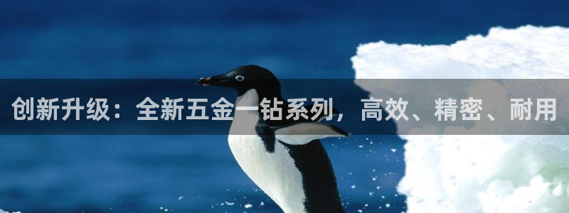 天狮娱乐Q 78139老板
