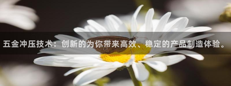 天狮娱乐能赚钱吗