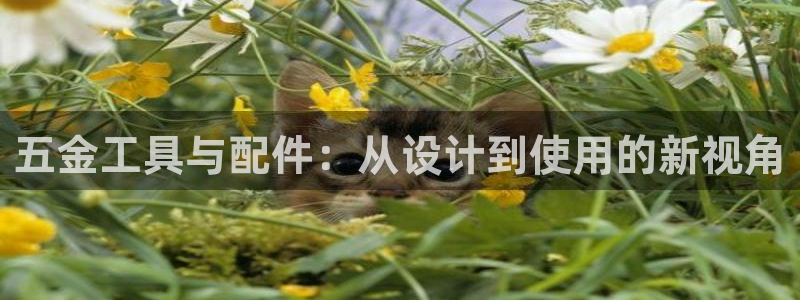 天狮娱乐挂机软件