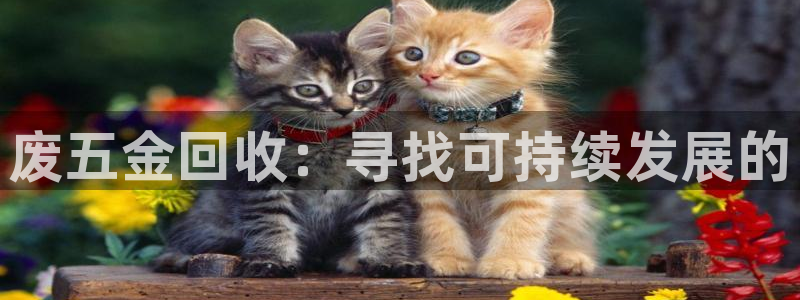 天狮娱乐招代理