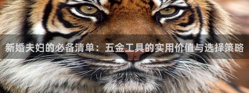 天狮娱乐可靠吗